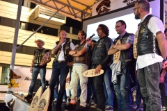 Lombardy_Run_2015_Ferro077