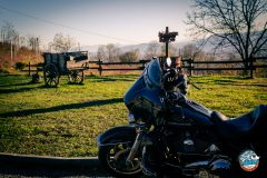 Hog-Inverno-23-Social-29