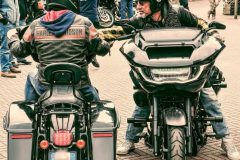 DSC_1024-dimensioni-grandi