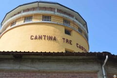 Run_Cittadella_2016-Ferro-66