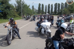 Run-terreverdi-61