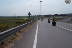 Run-terreverdi-71