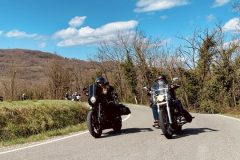IMG_20250316_071
