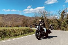 IMG_20250316_075