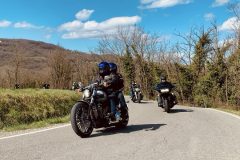 IMG_20250316_081