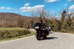 IMG_20250316_082