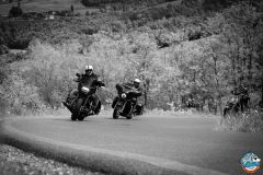 Rustigazzo-e-Pezzature-Sito-113