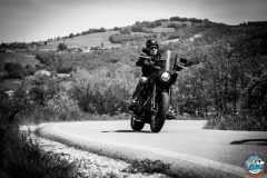 Rustigazzo-e-Pezzature-Sito-122